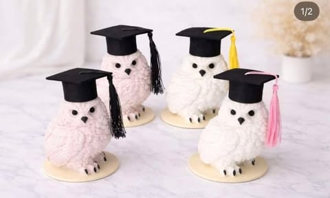 Four white ceramic owl figurines wearing black graduation caps with colored tassels on a marble surface